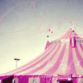 Circus