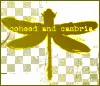 Coheed & Cambria