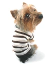 Yorkie........................CUTE!