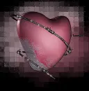 il mio cuore