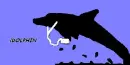 iDolphin