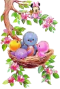birdnest