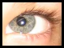 Son Eye