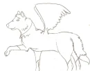 winged wolf