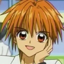 kaito
