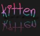 kitten text