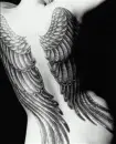 angel wings