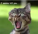 I wanna kill you.....
