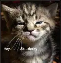 So Sleepy