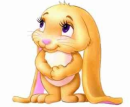 cute bunny