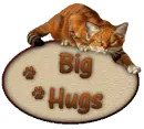 cat23