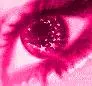 eye