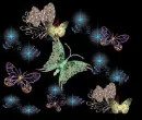 butterflies