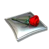 red rose