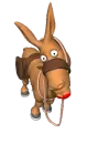 donkey kissing