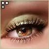 Brown eye