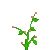 pink flower