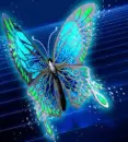 Blue Butterfly