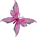 Pink Butterfly