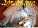 Today & Tomorrow