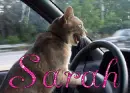 Sarah