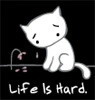 Life