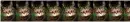kittys 
