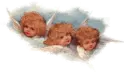 angels