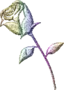 Sparkling rose