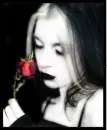 Love is Everything