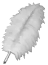 White feather
