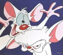 Pinky and the brain
