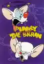 Pinky and the Brain