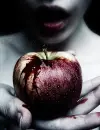 Taste of Luck