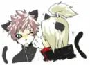 gaara and deidara cats