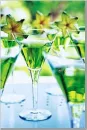 Green martini