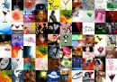 Collage of drinks