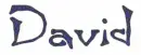 David