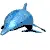 dolphin