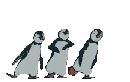 dancing penguins