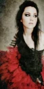amy lee