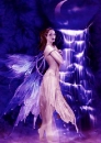 Violet farie