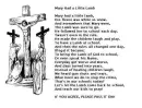 christ died for us
