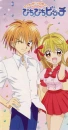 kaito n luicha