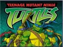 TURTLE POWER