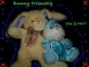 Bunny Frienship