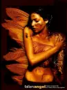 fallen angel