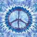 hippy