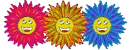 hippy
