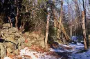  Pathway